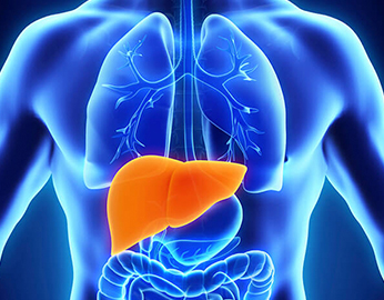 alister-a-george-md_gastroenterology-hepatology_about_liver-diseases